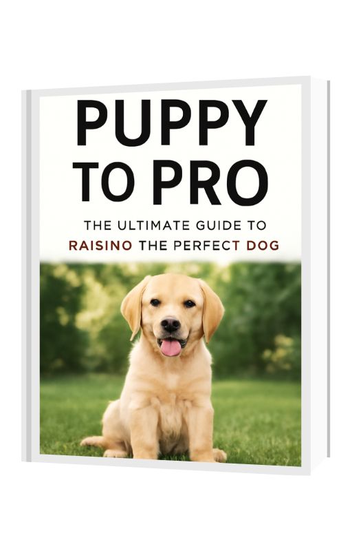 Puppy to Pro: The Ultimate Guide to Raising the Perfect Dog