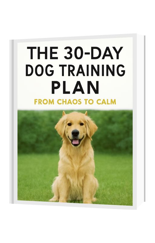 The 30-Day Dog Training Plan: From Chaos to Calm
